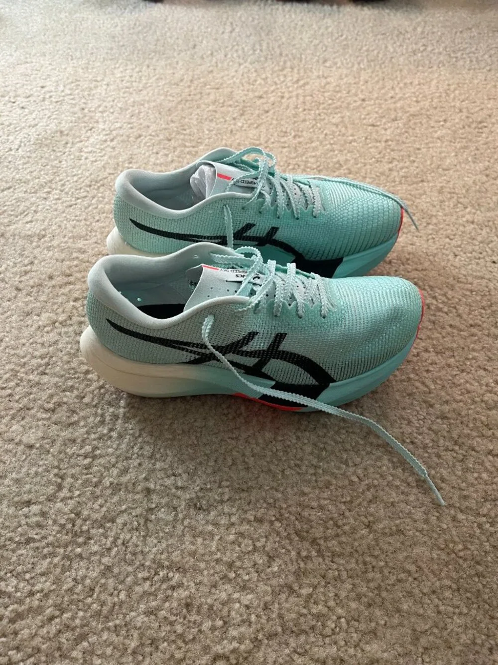 ASICS Metaspeed Sky Paris • Size 6M / 7.5W • Illuminate Mint/Black